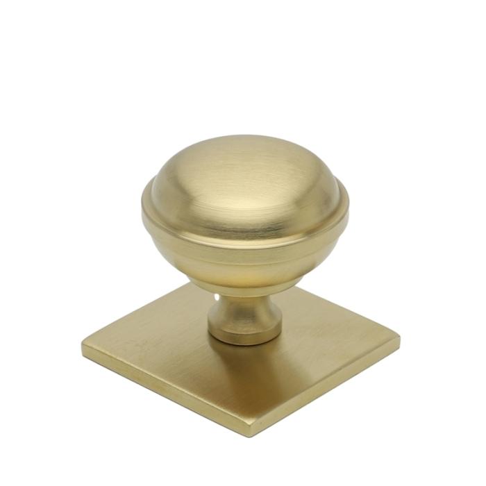 Buster+Punch Cabinet knobs with backplate - Brass - Model Cross (2